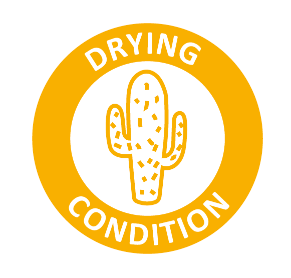 drying Condition